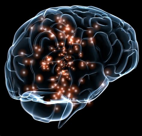 By creating an account, you agree to the privacy policy and the terms and policies, and to receive email from rotten tomatoes and fandango. Brain Response of Sensitive People to Emotional Pictures ...