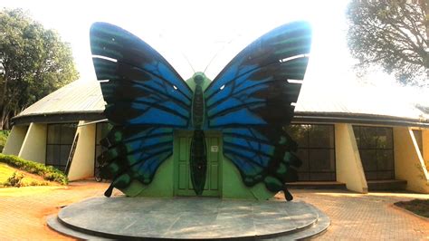 Butterfly Park At Bannerghatta Biological Park And Zoo Bangalore