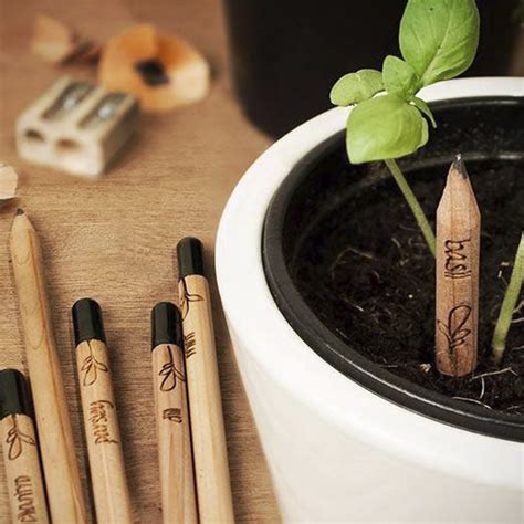 Lapiz Sprout Semilla 100 % Ecologicos Caja Con 8pz - Universo En Línea