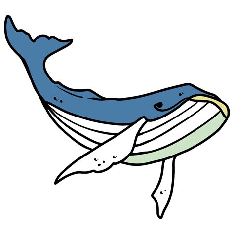 Humpback Whale Coloring Page Online Or Printable For Free