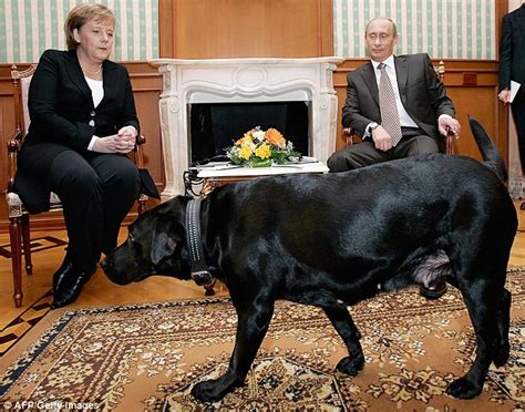 The german chancellor is heading to moscow for talks with the russian president. Vladimir Putin denies using his pet Labrador to intimidate ...