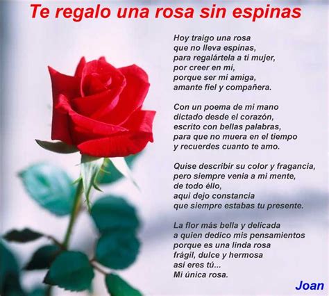 Hoy traigo una rosa que no lleva espinas para regalártela a ti mujer por creer en mí porque