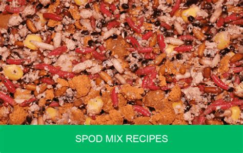Spod Mix Recipes Great Ones To Try Carp N Bait Co Uk
