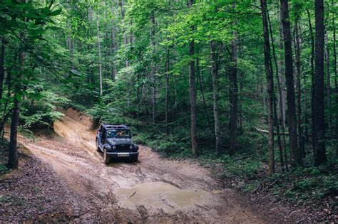 Best Time For Hatfield Mccoy Trails In West Virginia 2024 Roveme