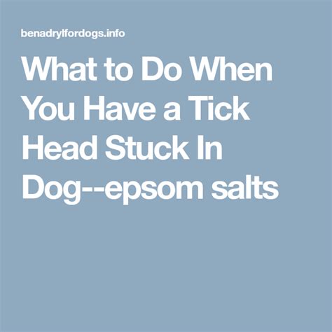 What To Do When You Have A Tick Head Stuck In Dog Epsom Salts Ticks