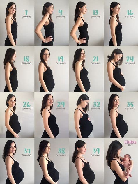 25 Semanas De Embarazo 2023