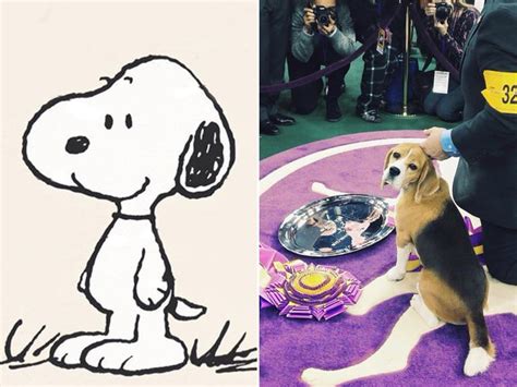 7 Reasons Snoopy Is The Best Representation Of A Beagle — Pet Central