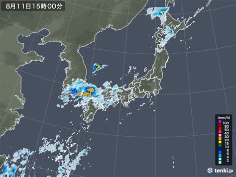 過去の雨雲レーダー(2020年08月11日) - 日本気象協会 tenki.jp