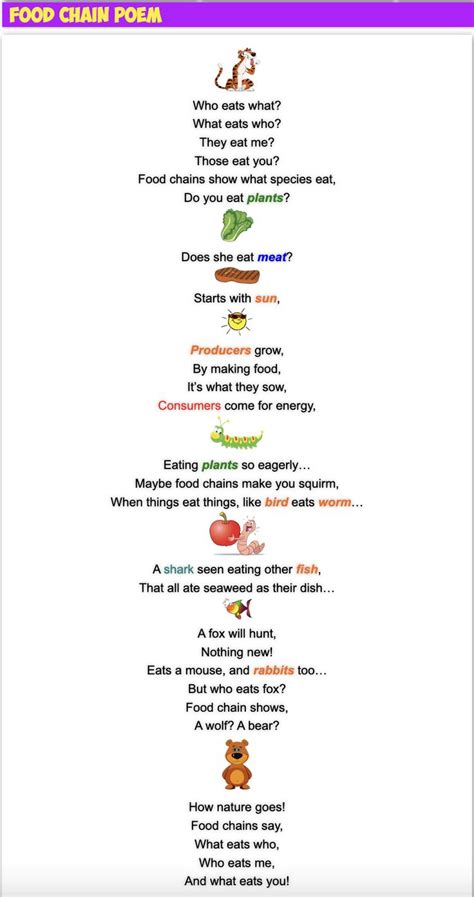 The Food Chain Poem Is Shown In Purple