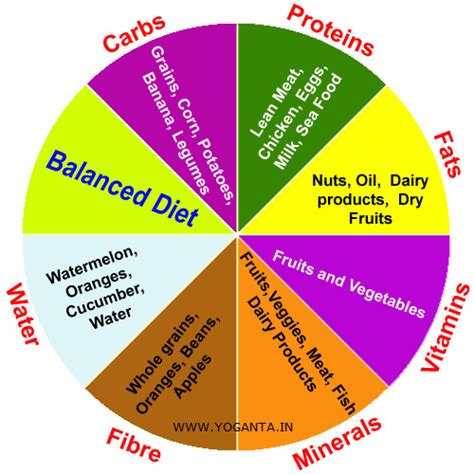 Balanced Diet The Key To Healthy And Happy Life Yoganta Blog