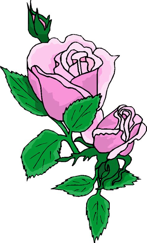 download purple rose clipart for free designlooter 2020 👨‍🎨