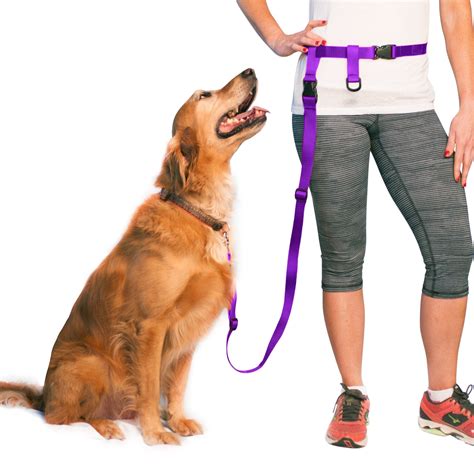 Running Waist Leash For Regular Dogs Made In Usa Over 20 Pounds The