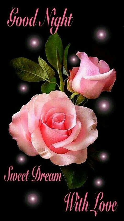 Pink Rose Good Night Flowers Good Night Image Good Night Greetings