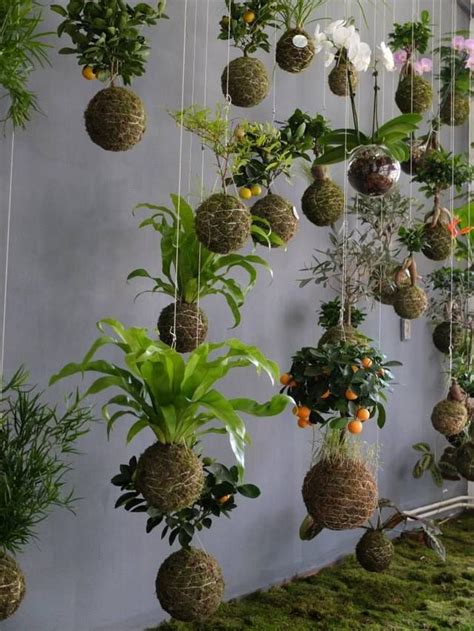 Ways To Decorate With A Kokedama Moss Ball My Tasteful Space