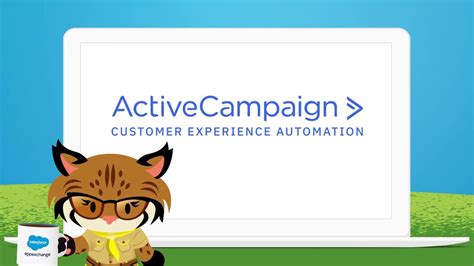 Activecampaign Customer Experience Automation For Salesforce Users