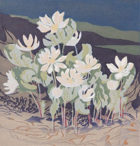 Northern Bloodroot By Mary Evelyn Wrinch At Consignorca