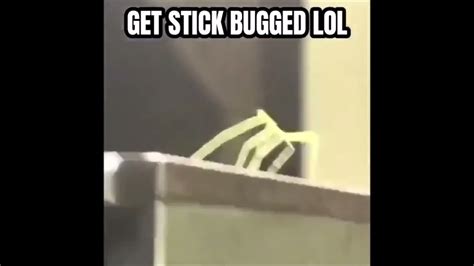 Get Stick Bugged Lol Youtube