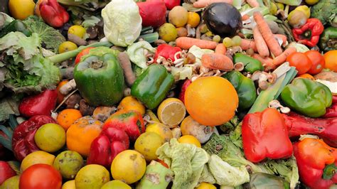 Refeds 27 Cost Effective Solutions For Food Waste