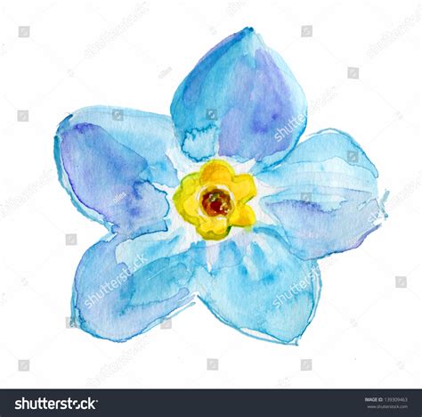 All single flower canvas prints ship within 48 hours include a 30 day money back guarantee and arrive ready to hang with pre attached hanging. Forgetmenot Light Blue Flower Isolated On Stock ...