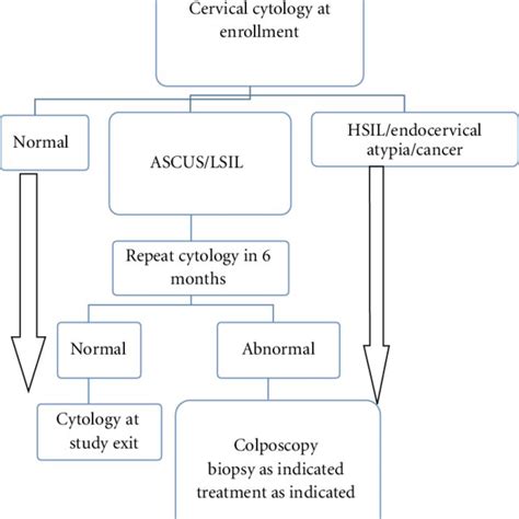 Algorithm For Management Of Cervical Cytology Results Download