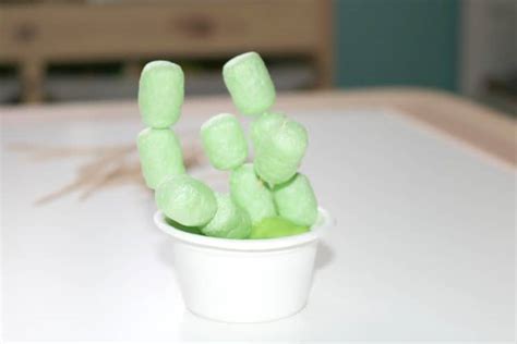 In this article, you will learn all the tricks you need if you don't have tongs, make sure to put on gloves since these cactus are spiky. 3 Quick & Easy Cactus Crafts & Activities for Preschoolers