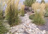 Pictures of Colorado Backyard Landscaping Ideas