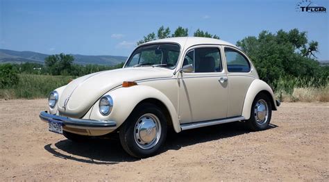 Just What is a Super Beetle? Here Are the Differences in Beetle Diaries ...