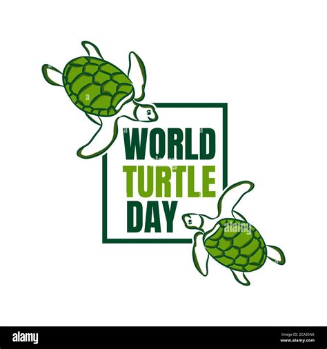 Vector Of Logo For World Turtle Day Swim In The Sea With In Square