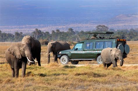 Into The Wild Masai Mara Explorer Best Of Travel