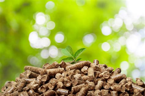 What Is Biomass Energy And How To Use It Spring Power And Gas