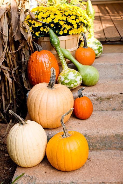 Fall Pumpkins And Gourds Display — Seasons Peak Marketing