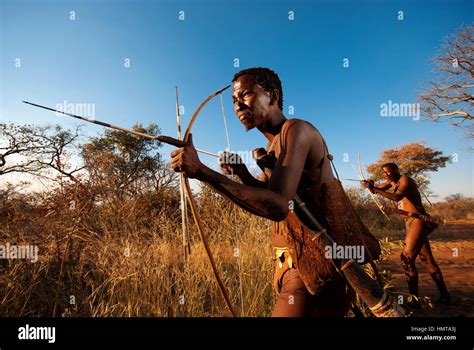 Ju Hoansi Or San Bushmen Hunter Simulates A Hunt With Bow And Arrow At Their Village Grashoek
