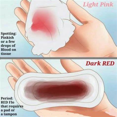 👉 What Is Implantation Bleeding When And How Long Does It Occur