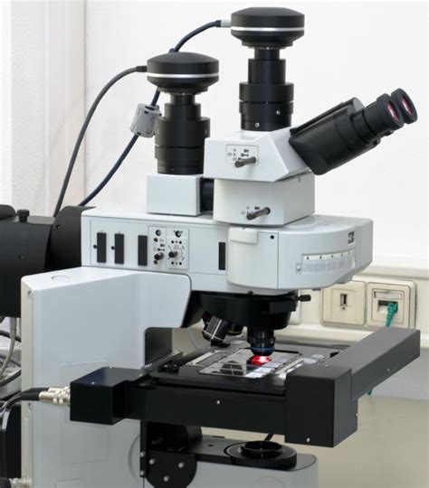What Is A Light Microscope With Pictures