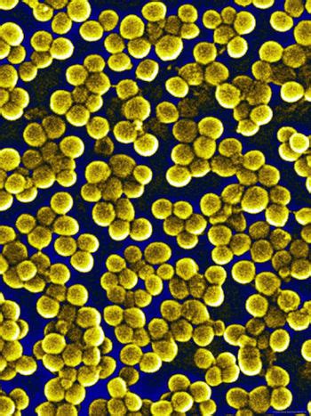 When the germ called staphylococcus aureus (staph) becomes resistant to (not killed by) certain antibiotic medicines, it is called mrsa. Methicillin Resistant Staphylococcus Aureus (MRSA ...