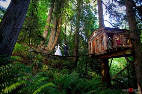 The canopy treehouse is hocking hills first and only log cabin treehouse! Rainforest Hotel Built in the Trees: Tree House Point ...