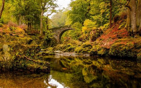 Old Stone Bridge Over Troubled River In The Forest