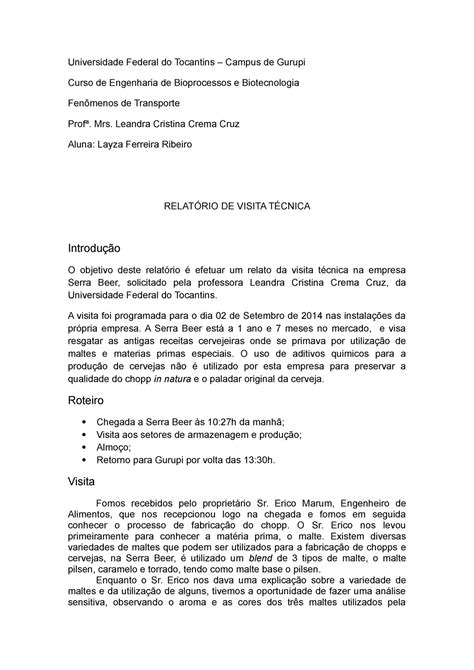 Relatório Social De Visita Domiciliar Pronto