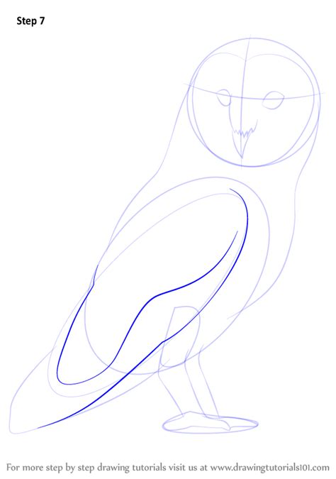 How To Draw A Barn Owl Birds Step By Step