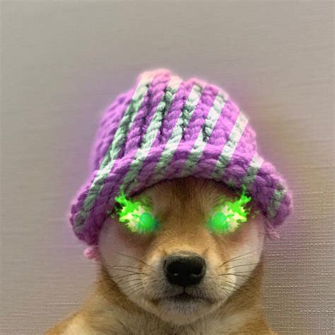 1080x1080 Gamerpic Doge In A Hat