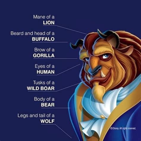 30 Things You Might Not Know About Beauty And The Beast Disney