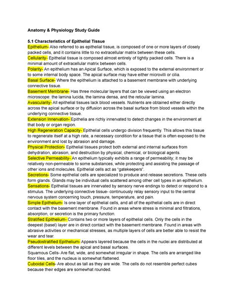 Anatomy And Physiology Chapter 5 Study Guide Anatomy And Physiology Study