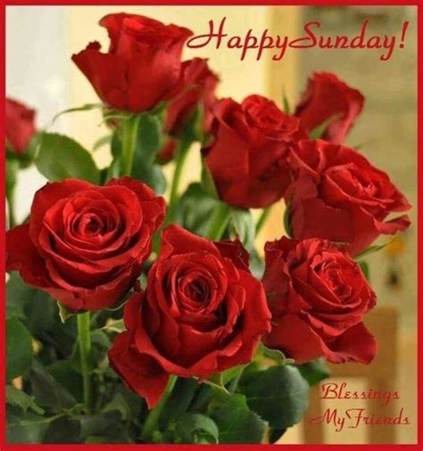 80 Sunday Blessings And Greetings Happy Sunday Images Good Morning