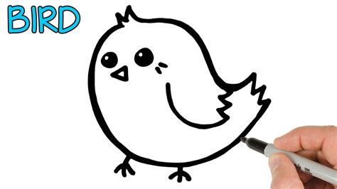How To Draw Cute Cartoon Bird Super Easy In 2020 Cartoon