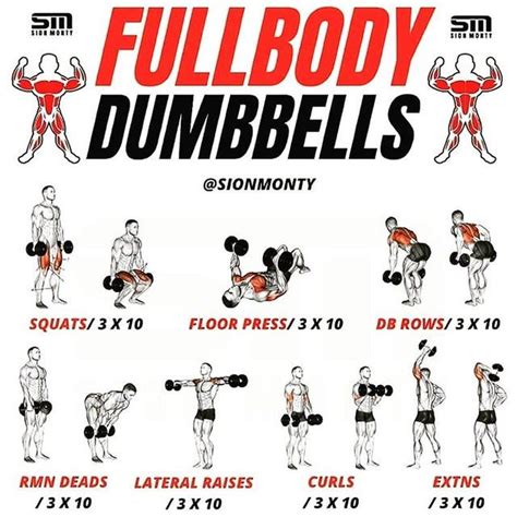 Cool Guides Full Body Dumbbell Workout Dumbbell Workout Full Body Workout Routine