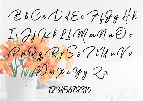 Digital Fonts Cursive Font Script Font Download Calligraphy Etsy