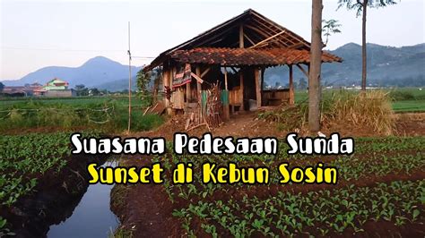 Menikmati Suasana Pagi Matahari Terbit Sunrise Pedesaan Sunda Youtube