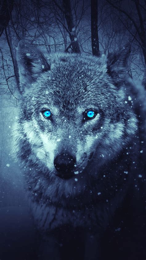 Wolf Wallpaper 4k Blue Eyes Snowfall Winter Night Forest 5k