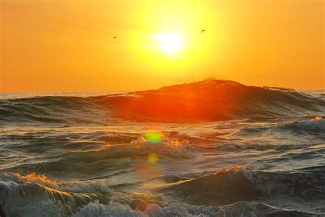 Free Photo Photography Of Ocean Wave During Golden Hour Beach