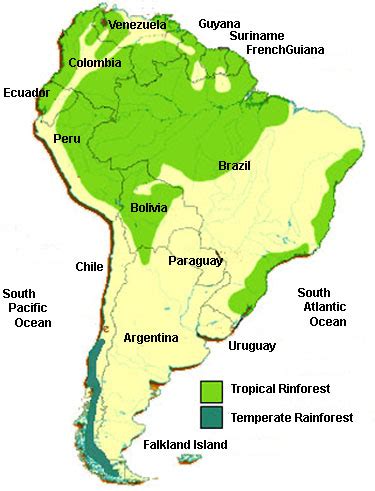 Rainforest South America, Amazon Rainforest, Map of Amazon Rainforest